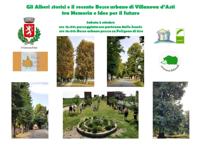 Villanova d'Asti | Gli alberi storici e il recente Bosco urbano di Villanova d'Asti